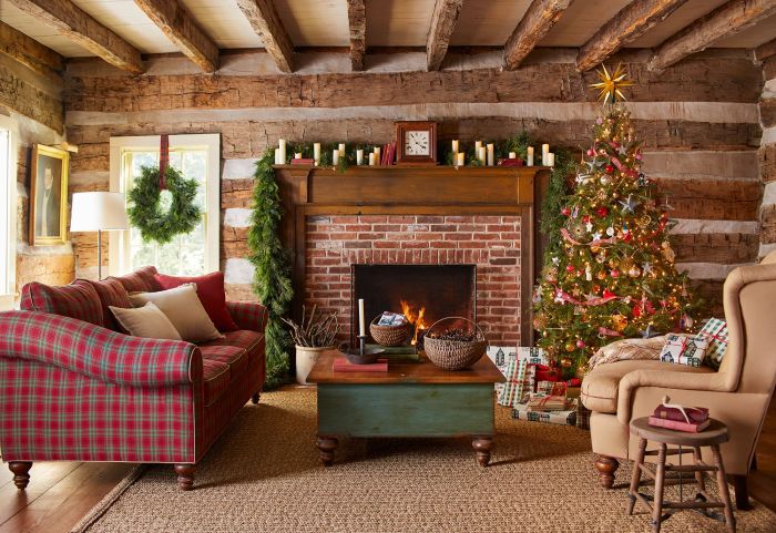 Echter baum im wohnzimmer